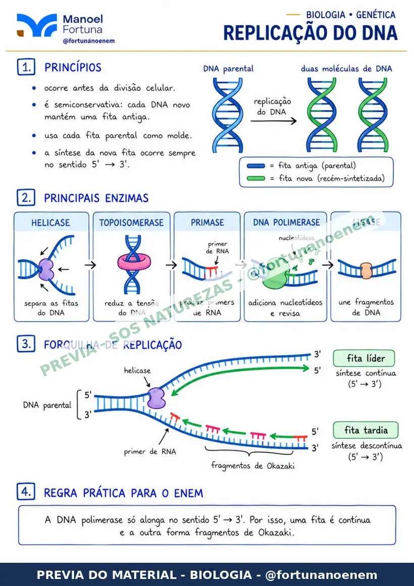 Página: Replicação do DNA