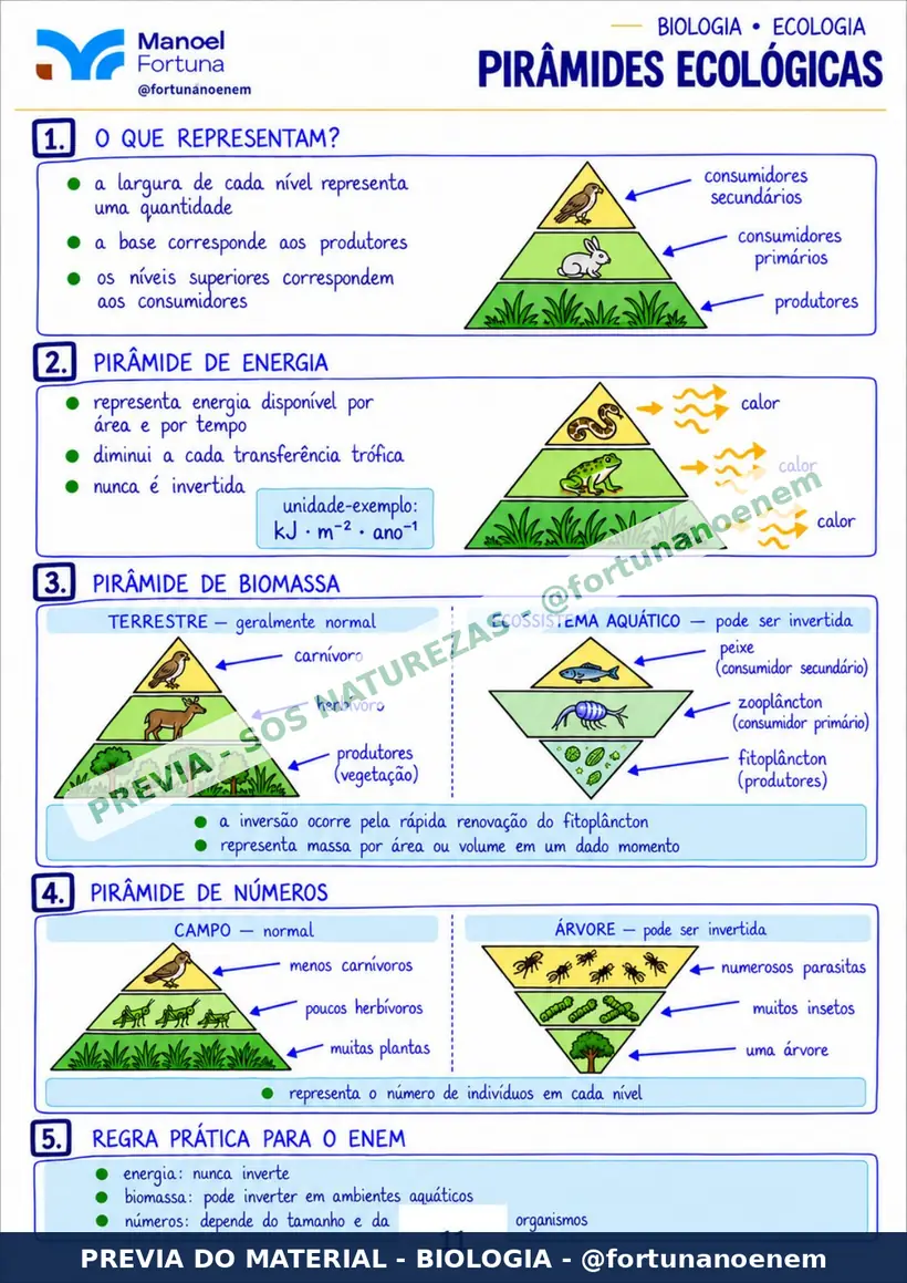Página: Pirâmides Ecológicas
